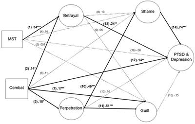 Mechanisms of Moral Injury Following Military Sexual Trauma and Combat in Post-9/11 U.S. War Veterans